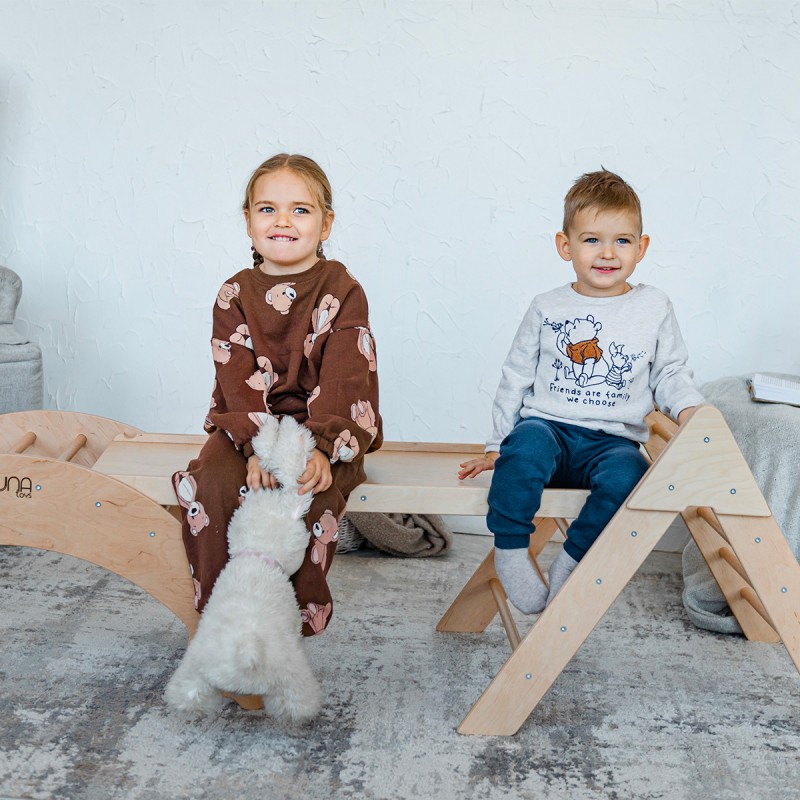 LOU Ensemble d'escalade Montessori : Triangle de Pikler avec rampe et arche d'apprentissage