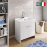 Meuble buanderie double porte avec vasque 80x50