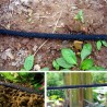 Tuyau microporeux, d'irrigation pour l'arrosage des plantes 1/2" 50 m